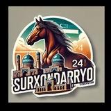 Surxondaryo 24