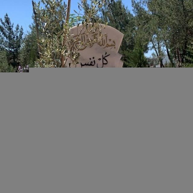 اجر لشقيقي🫀👥