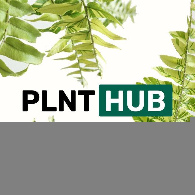 PLNTHUB: Кімнатні рослини Соф. Борщагівка 💚