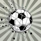 MODERN ⚽ Sport News & Tips 🏆