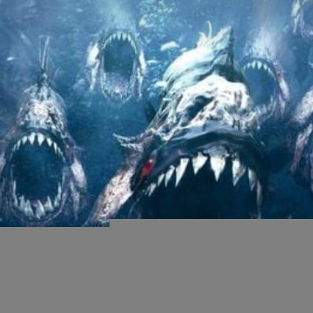 Saffet Öztürk'ün Piranhaları 🐟