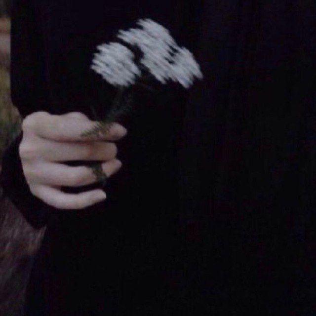 𝚉