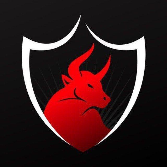 BOOMING BULLS ACADEMY