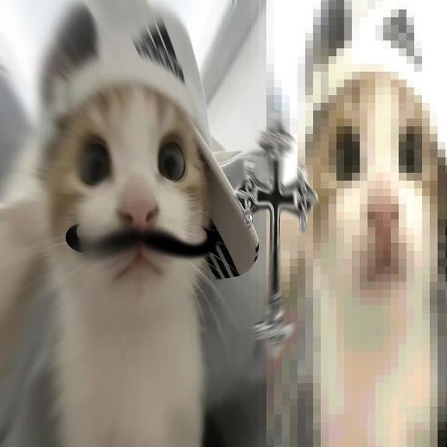 𝒜 '