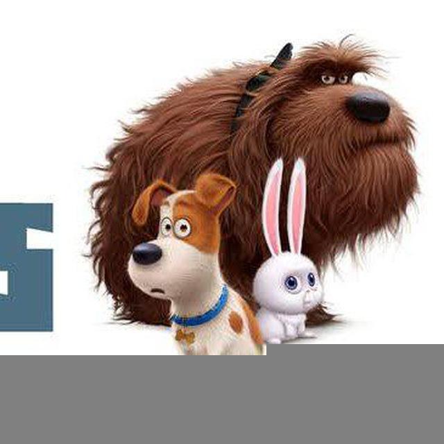 The Secret Life Of Pets Sub indo