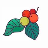 Эстетика кофе | Пенза