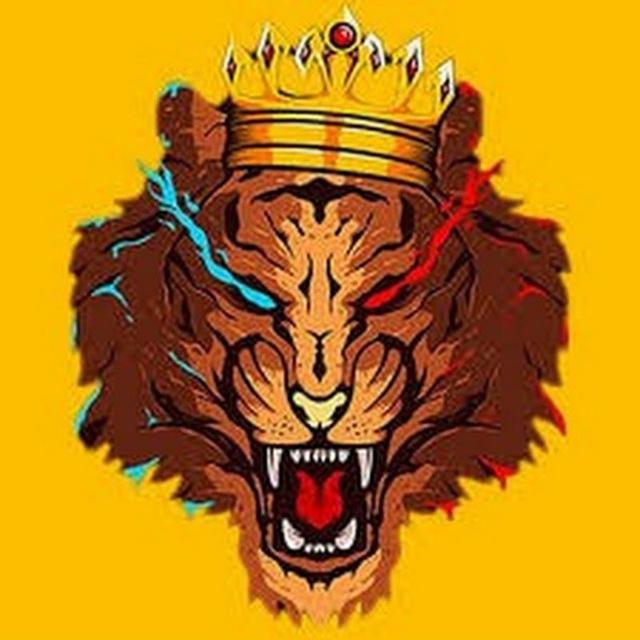 🦁DARIUSH PARS🦁