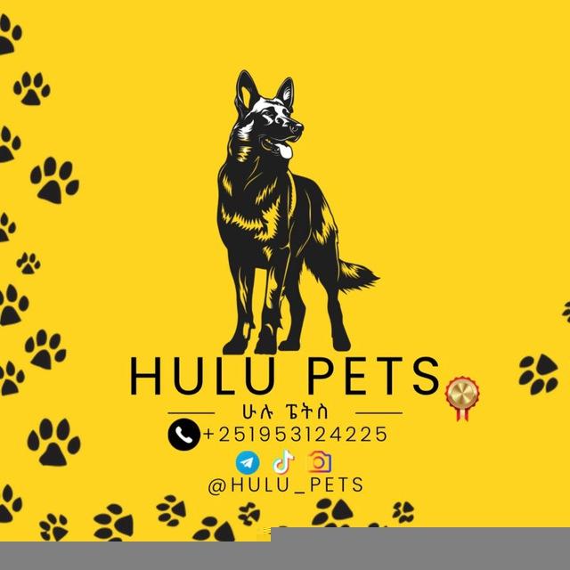 HULU PETS