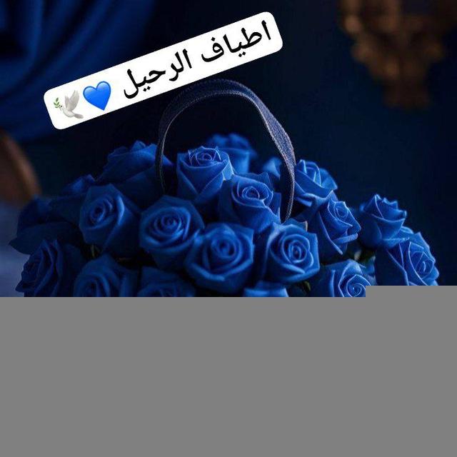 💙 أطياف الرحيل_℡💙