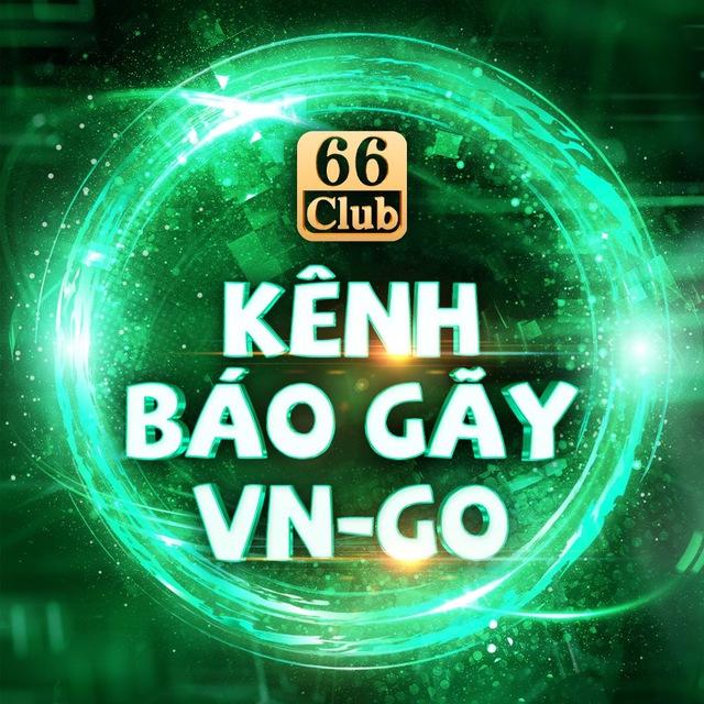 BÁO GÃY VN-GO