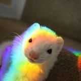 [anywhere] Department of Ferrets, Memetics, Cognitohazards and чіназес
