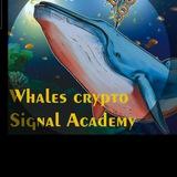 Whales crypto Signal Academy