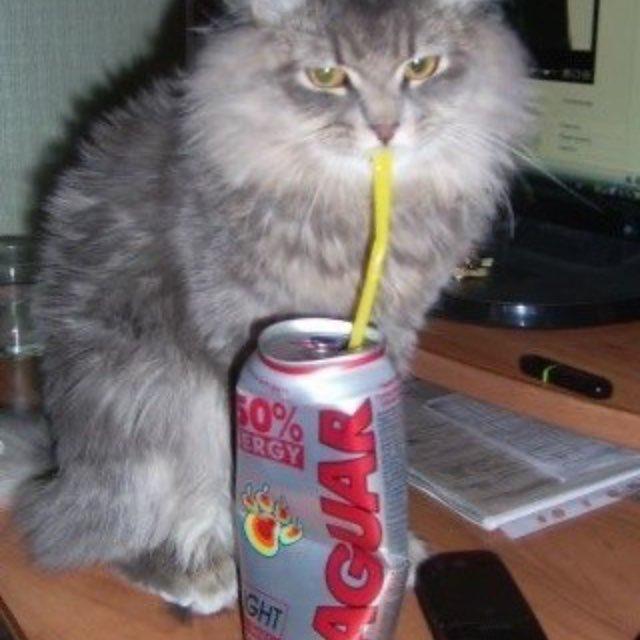опездал