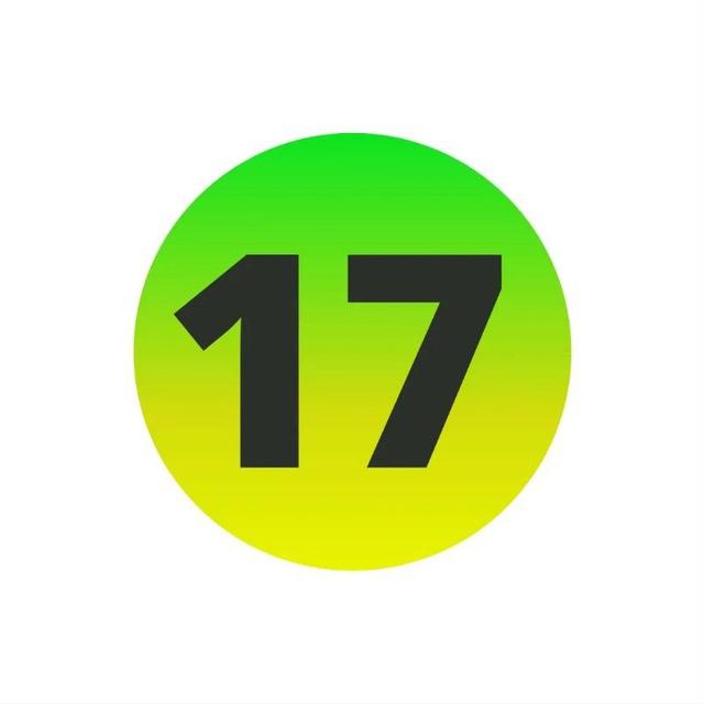 17 Лицей_stv