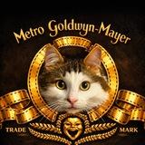 Котовладелец