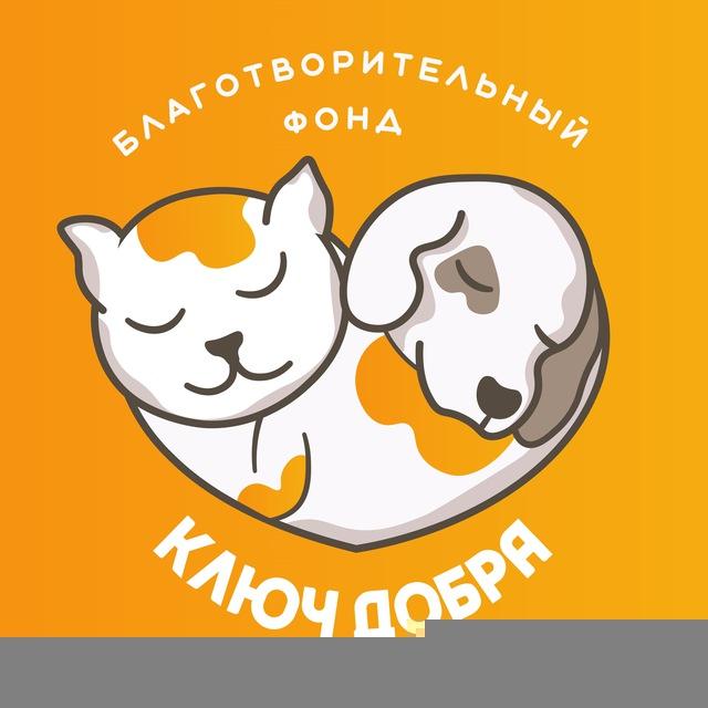 БФ "Ключ Добра", Краснодарский край, г. Горячий Ключ