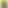 越色欲歡-多國暗黑天堂👉👌（塗山、海防、河內、下龍灣、峴港）廣播