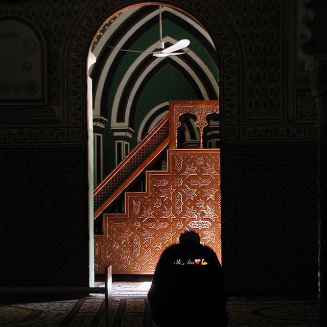 ﮼رحيق﮼الجنة 🌙🤍