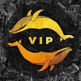 Crypto Master Vip Signals