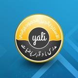 الاستاذ يالجين محمود