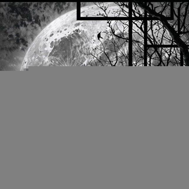 The moon 🌙