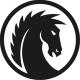The Dark Horse-UPSC CSE