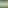 قصائد نساء فقط
