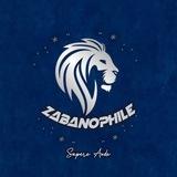 ZABANOPHILE | مرجع تخصصی کنکورهای زبان