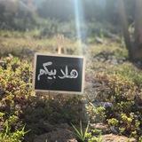 خطوط نقل طلاب الكندي