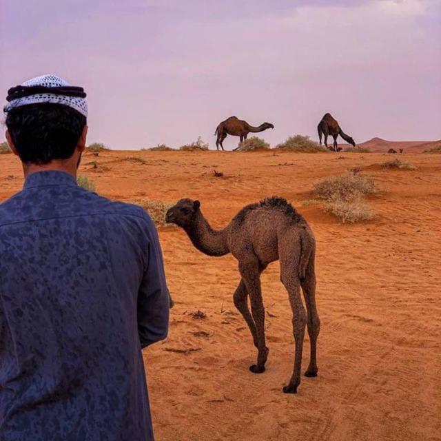قناة ناجح الشراري