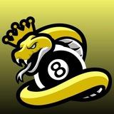 Official Snake Channel