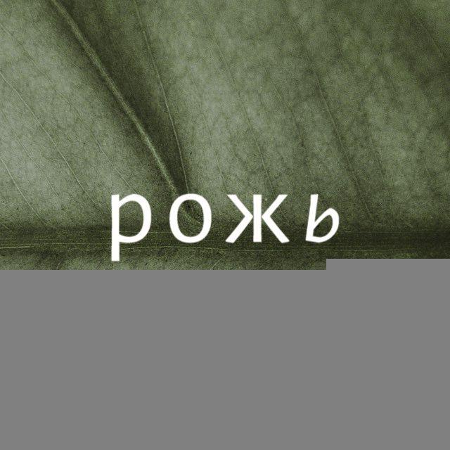 Рожь кофейня