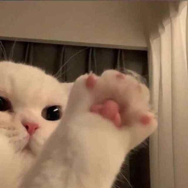 عتيقه.