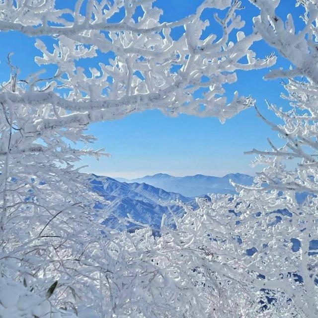 韩国素材🔥韩国美食【人物包装素材】