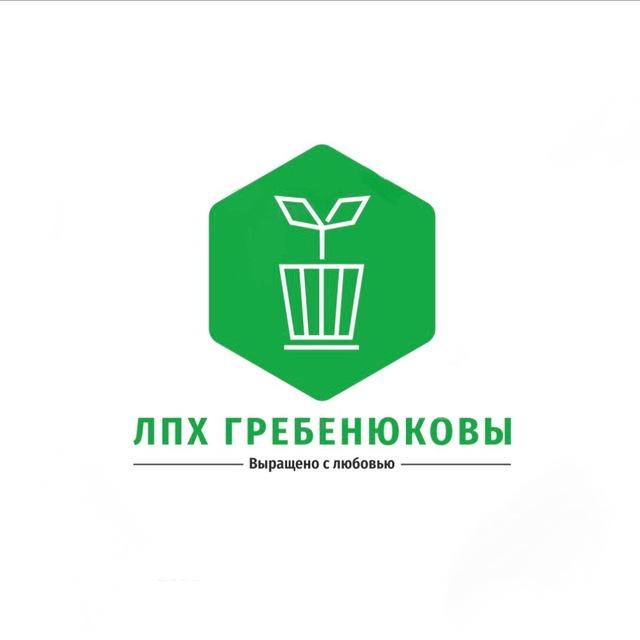 Саженцы ЛПХ Гребенюковы