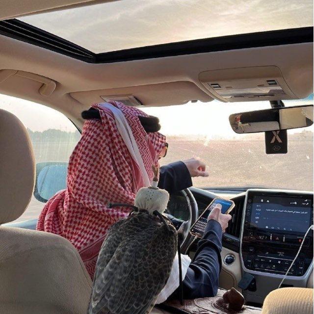 مُصاب .