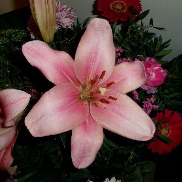 ♡︎