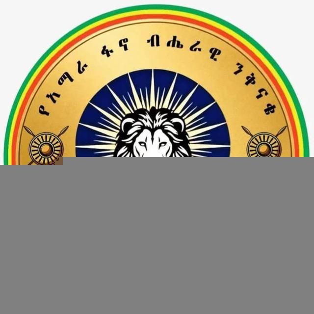 ቴዎድሮስ ዕዝ 201ኛ ኮር 64ኛ ክ/ጦር የቴሌግራም ቻናል