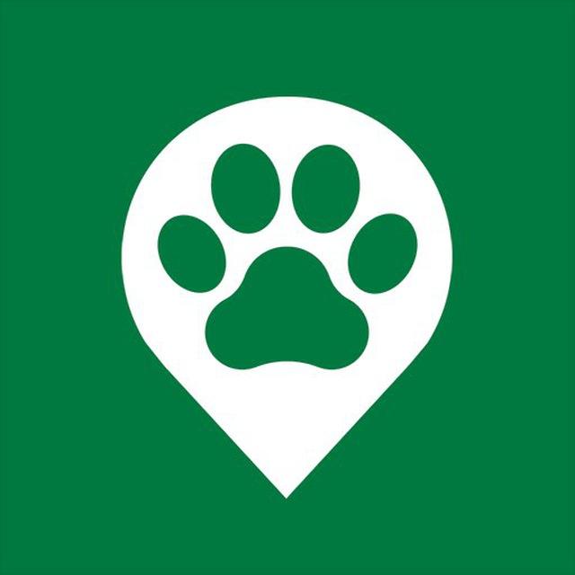Furry Migration (Official)