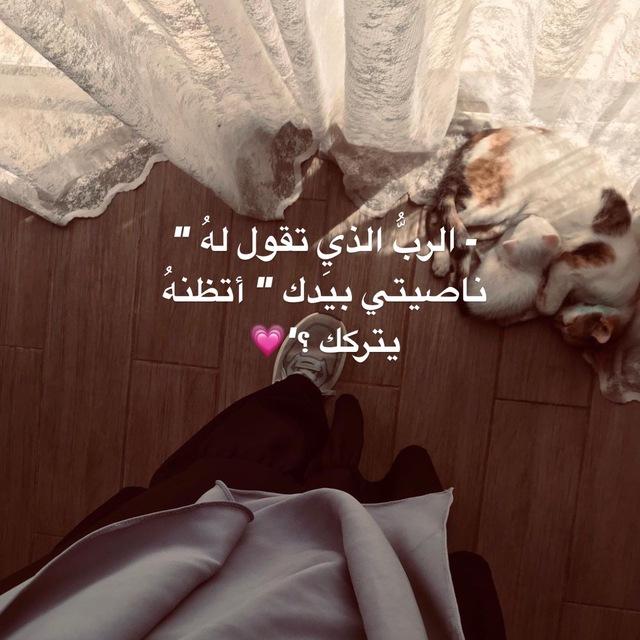 ݺ،غافر🤎.