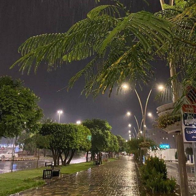 الرِّهَــام.