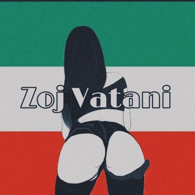 نابی وطنی (zojvatani)