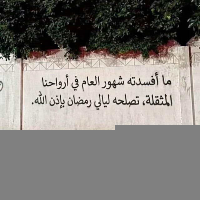 ᷂بـحّار.