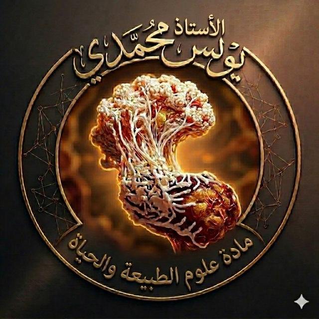 الأستاذ يونس محمدي 3AS