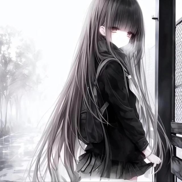 柒柒