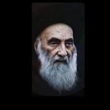 صور سيد علي السيستاني
