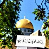 ‏"إنَّ اللّٰهَ لا يَخْذِلُ قَلْباً لَجَأَ إليه 💚🪄"