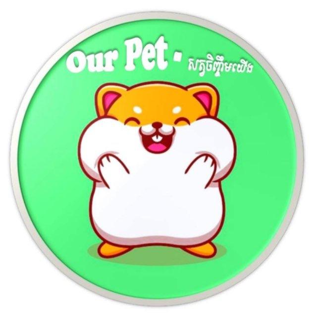 Our pet-សត្វចិញ្ចឹមយេីង