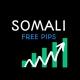 Somali Free Pips