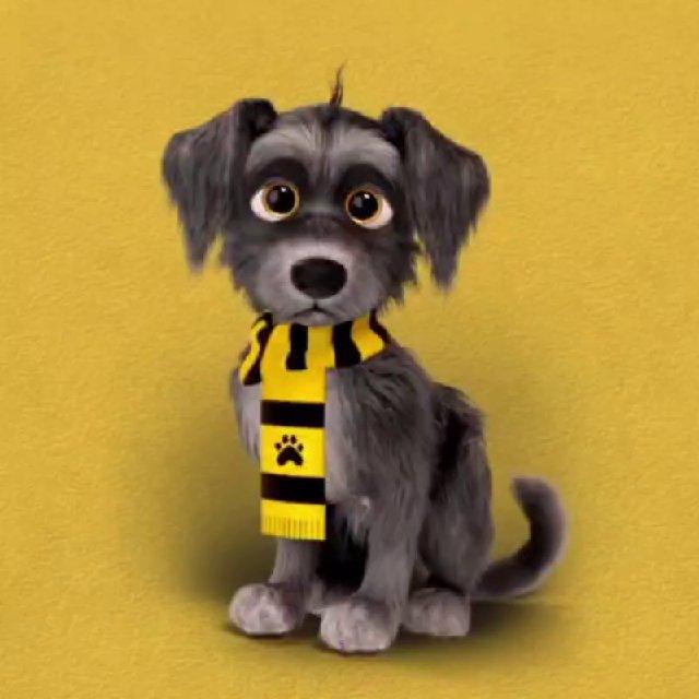 Fred The Dog